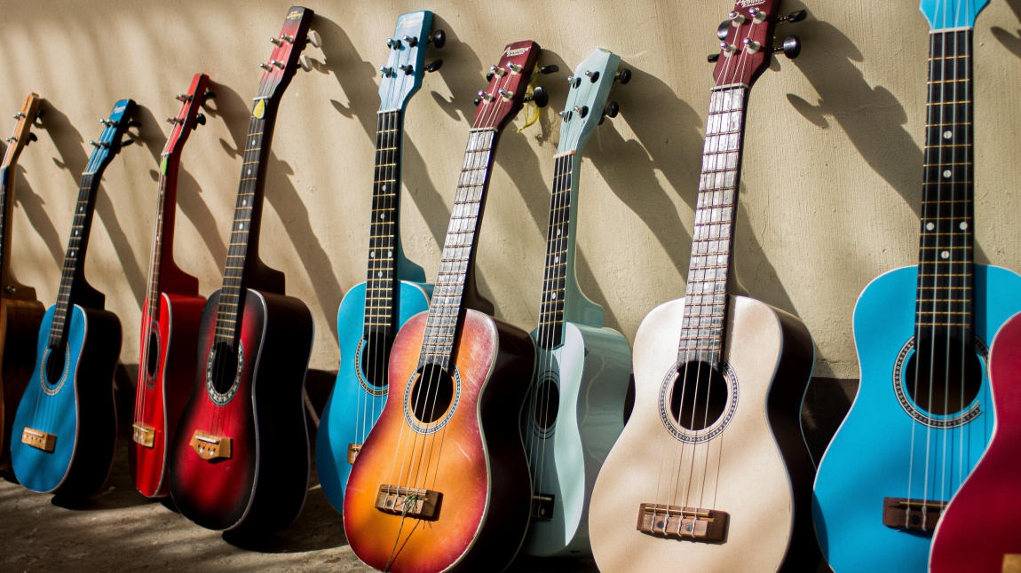 Gitar Kursu Usta Öğreticisi Alımı Yapılacaktır